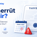 Temerrüt nedir, kupon ve itfa ödemesi yapılmazsa yatırımcılar için ne anlama gelir