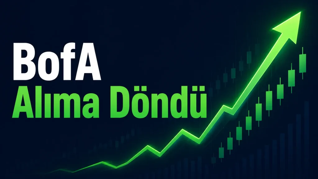 BofA 4,8 milyar TL net alım yaptı