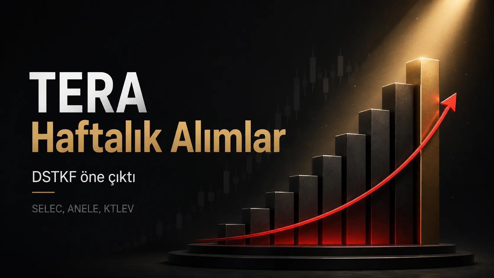 TERA 31 Ağustos–4 Eylül Haftalık Alımlar