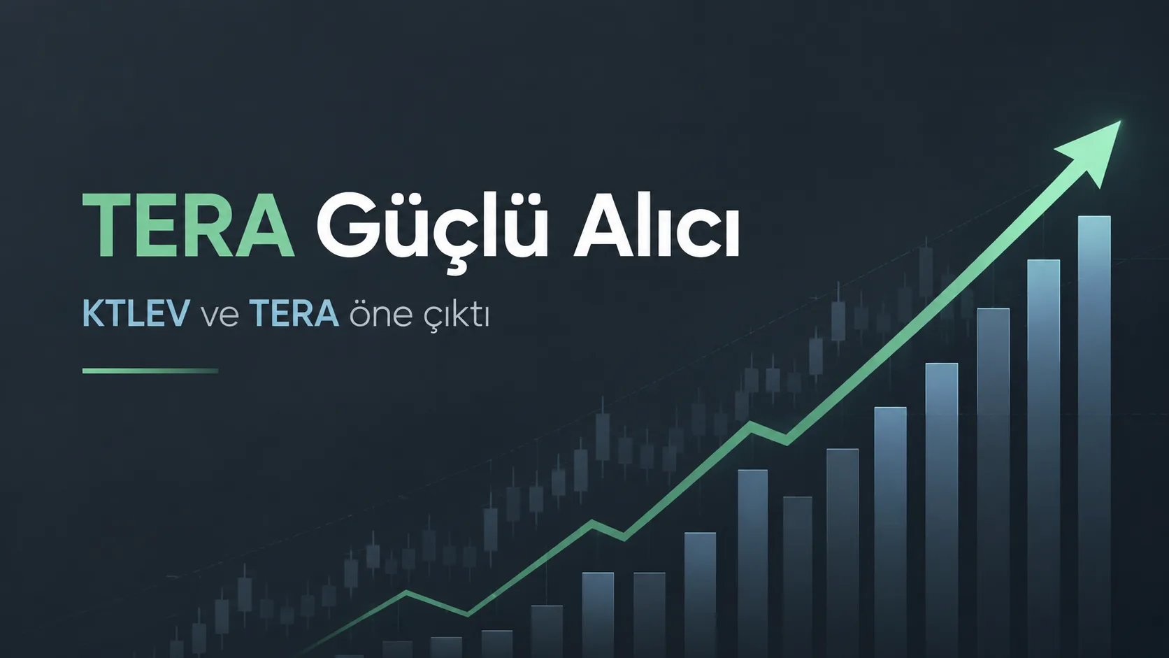 Tera yatırım aldıkları sattıkları hisseler 4 eylül 2026